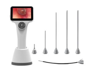 Video Otorhinolaryngoscope